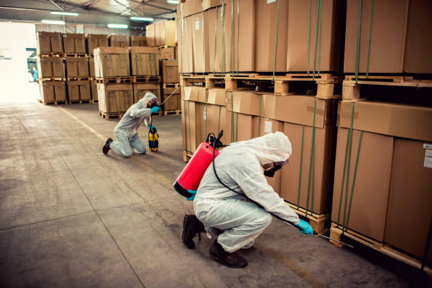 Best Best Pest Control Companies  in Silver Grove, KY