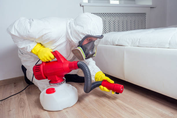 Best Termite Control Services  in Silver Grove, KY