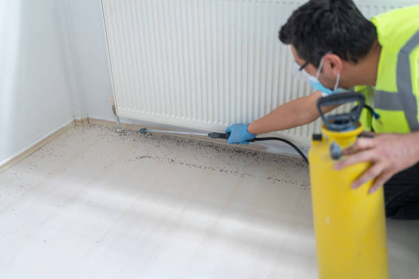 Best Commercial Pest Control Services  in Silver Grove, KY
