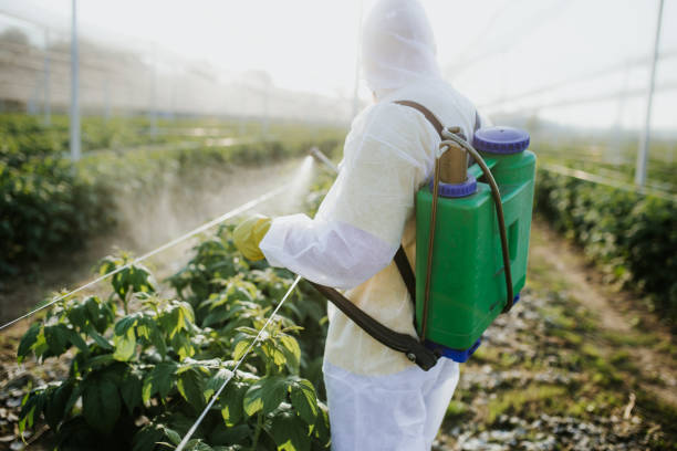 Best Pest Control for Businesses  in Silver Grove, KY